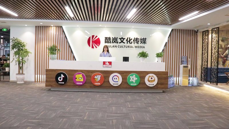 公关传播与品牌公关的区别：内涵与策略解析