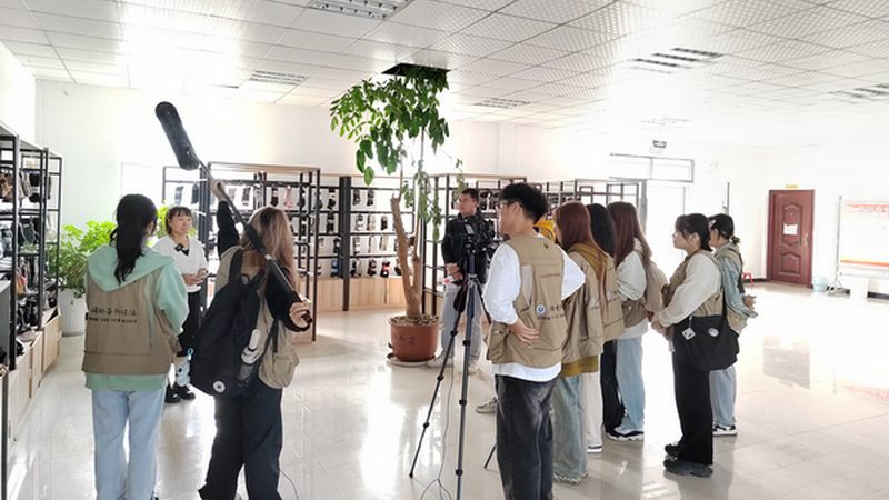 揭秘上海三维动画制作：规格分类与制作要点