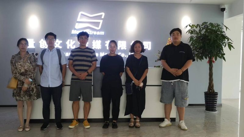 品牌策划方案：解码其优缺点，助力企业精准决策